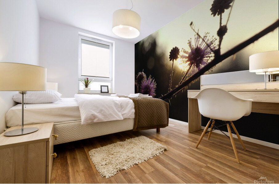 Sensitive Sunrise Mural print