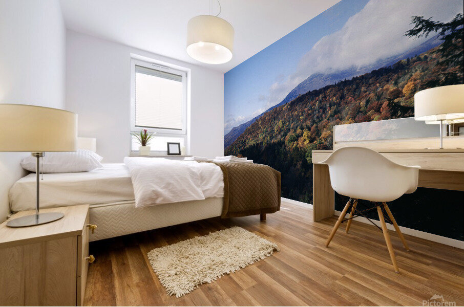 Autumn s Canvas Mural print