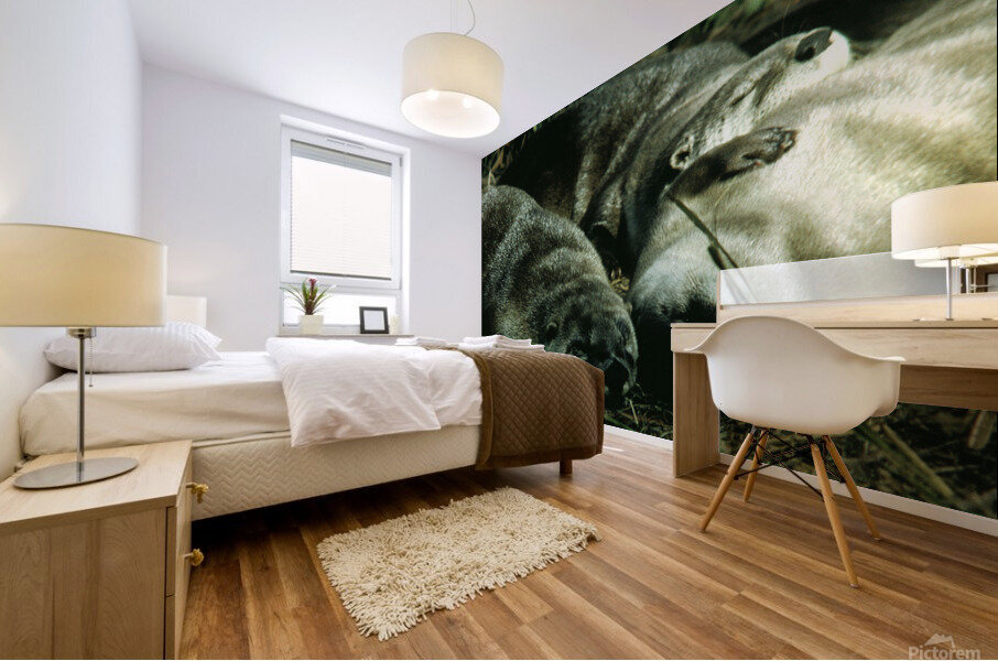 Cuddle Puddle Mural print
