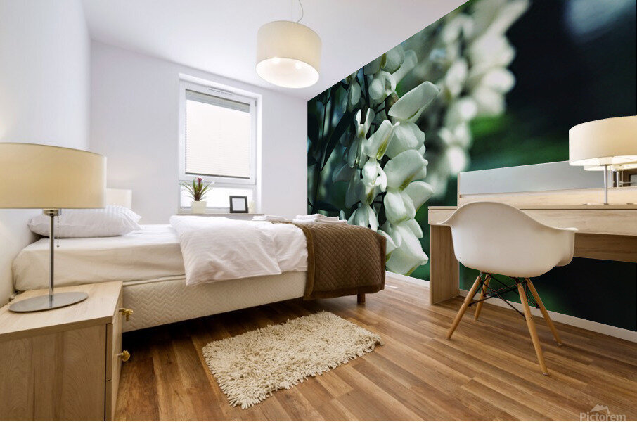 Black Locust Mural print