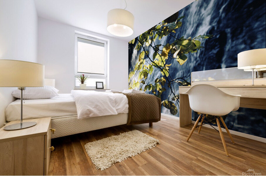 Cascade Under Forest Light Mural print