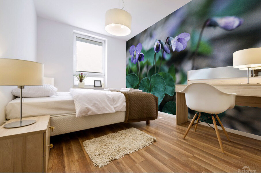 Wood Violets Mural print