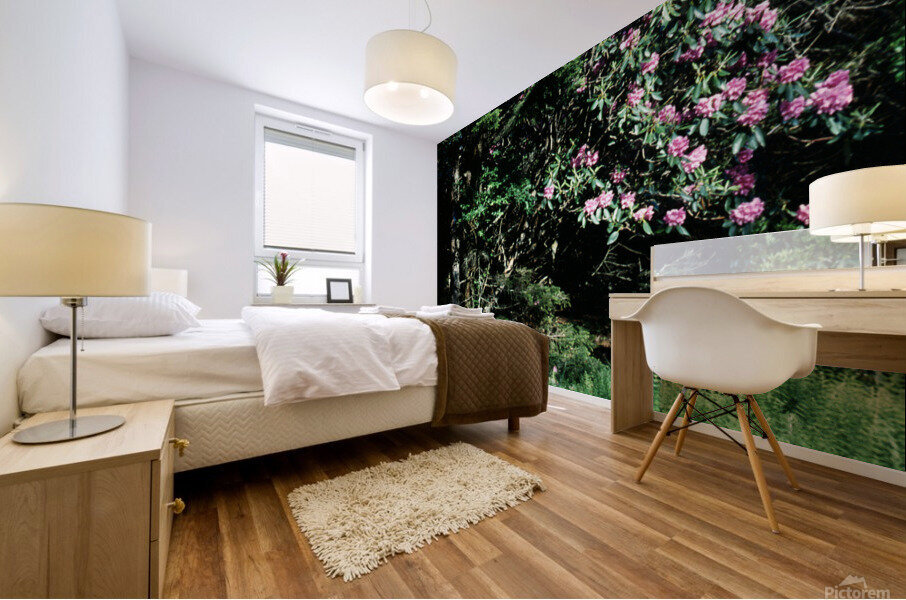Rhododendron Road Mural print