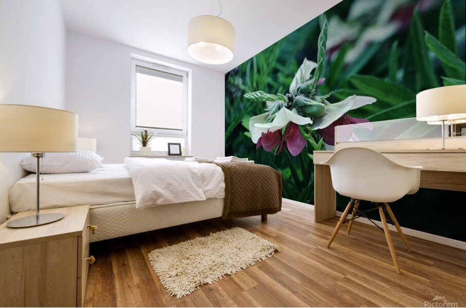 Mendel’s Rebel Mural print