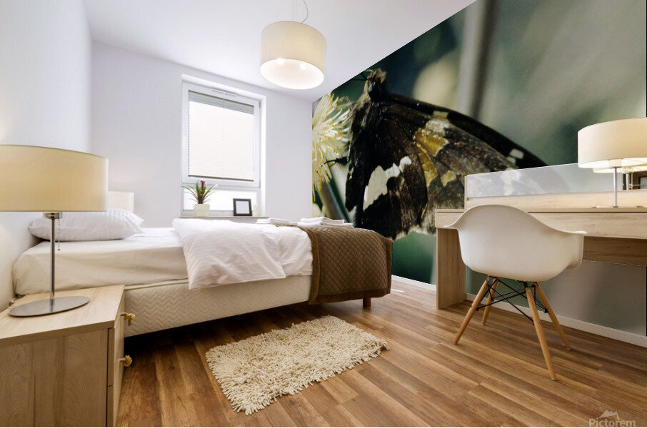 Skip on a Button Mural print