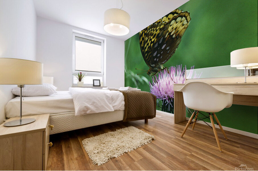 Fritillary on Thistle Mural print