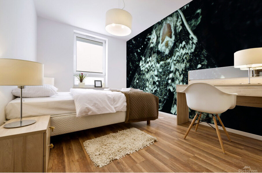Pepper Moth Mural print