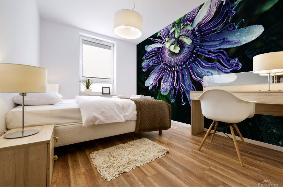 Passion Flower Mural print