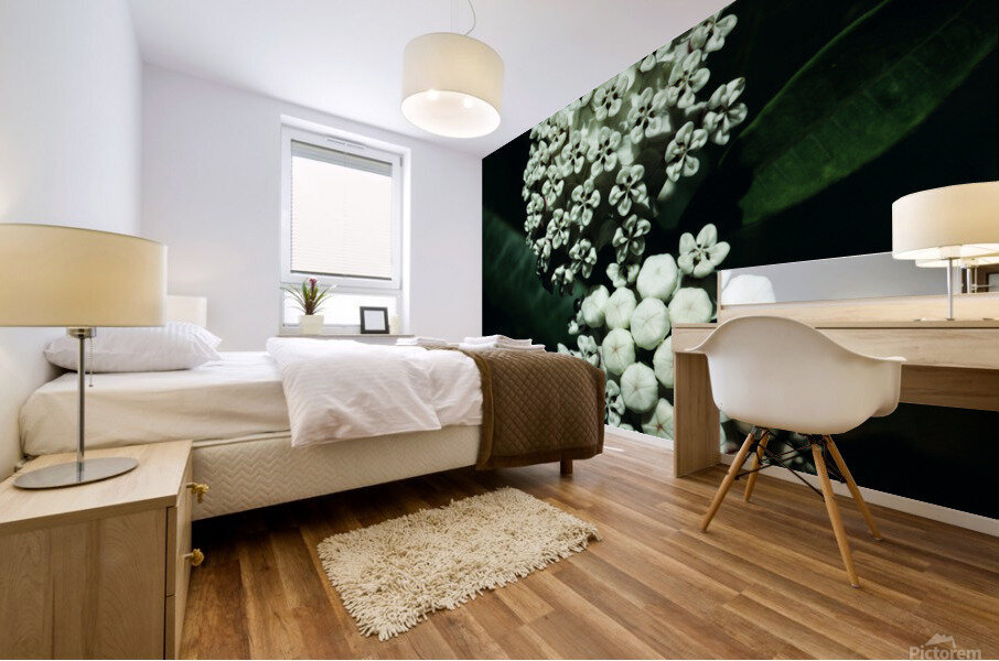 White Milkweed Mural print
