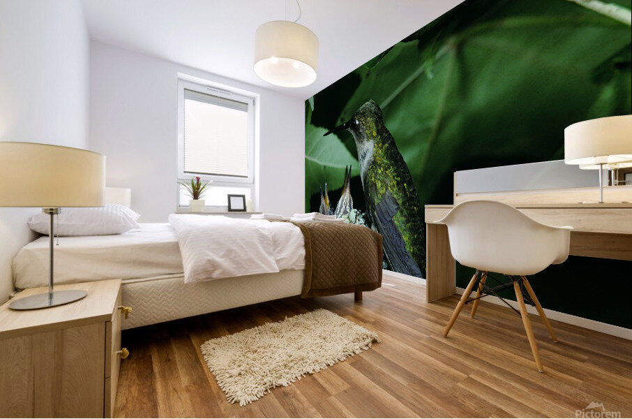 Humming Bird Nest Mural print