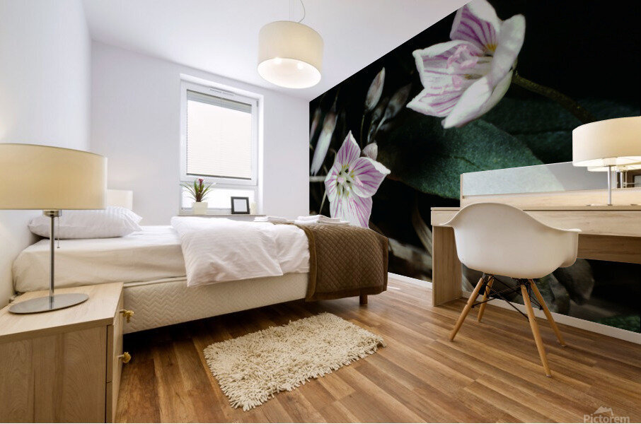 Spring Beauty Mural print