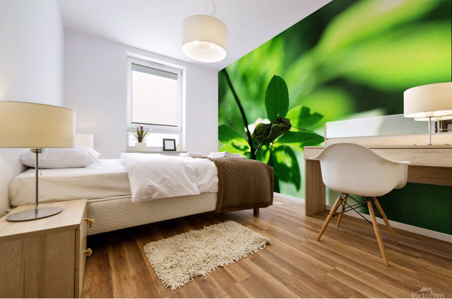 Cought a Bug Mural print