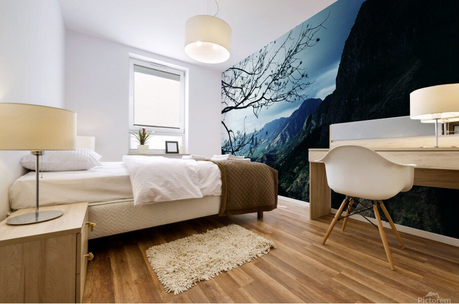 Overlook Mural print