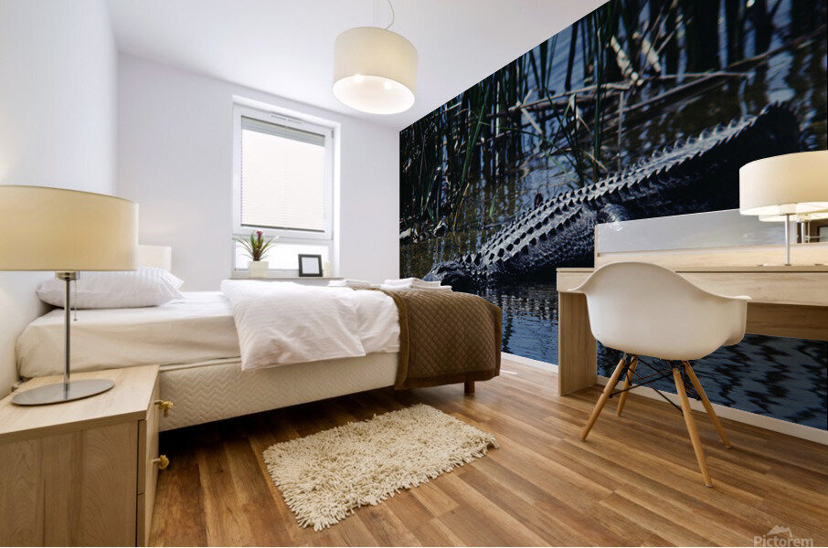 American Alligator Mural print