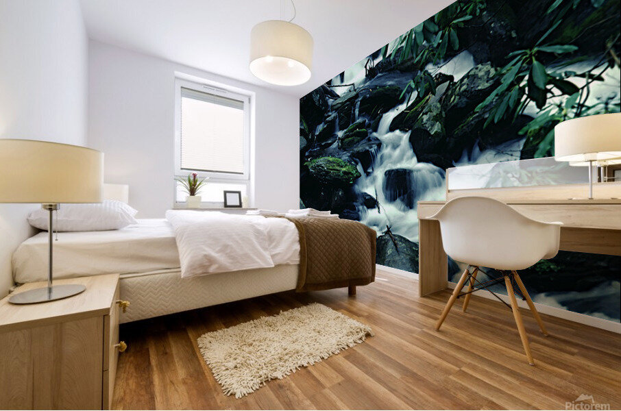 Black Mountain Flow Mural print