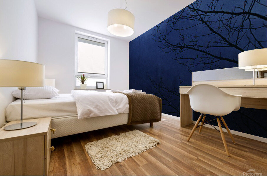 Cold Mountain Mural print