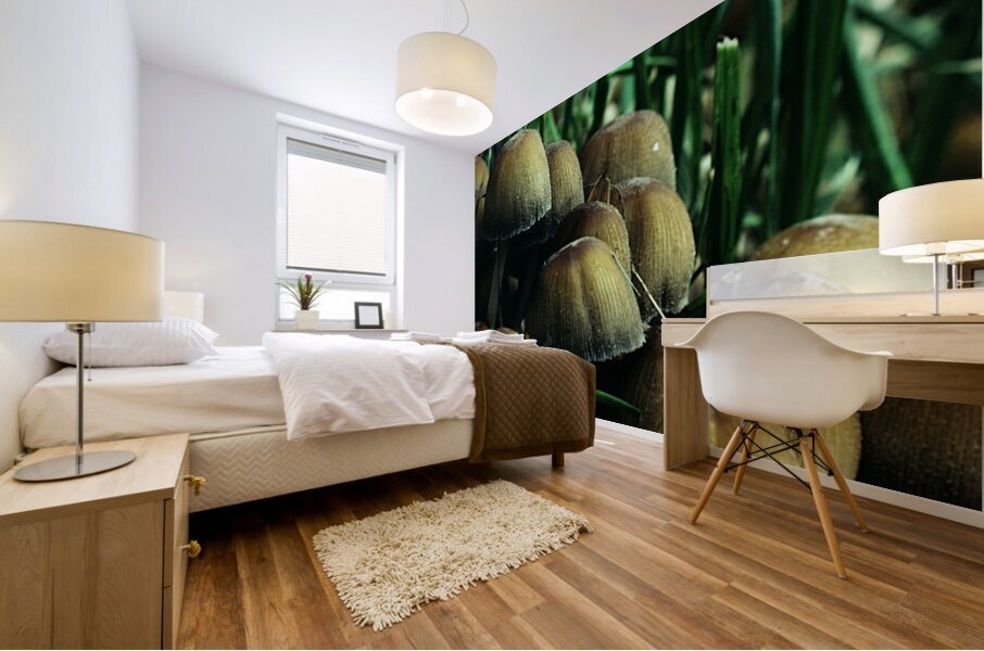 Mica Cap Mushrooms Mural print