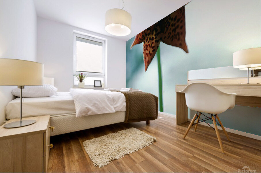 Orange Bell Lily Mural print