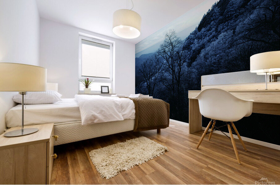 Powder Blue Mural print