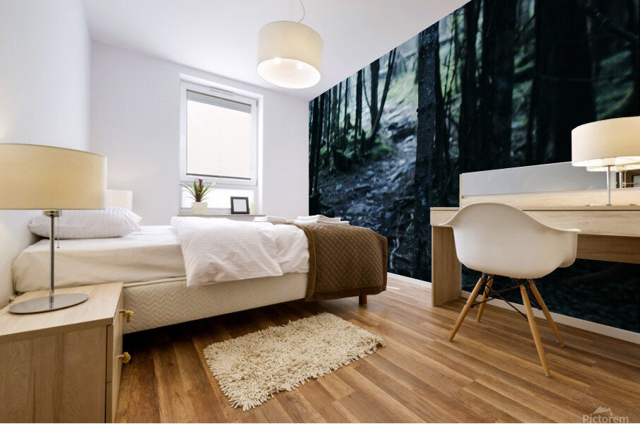 Secluded Path Mural print