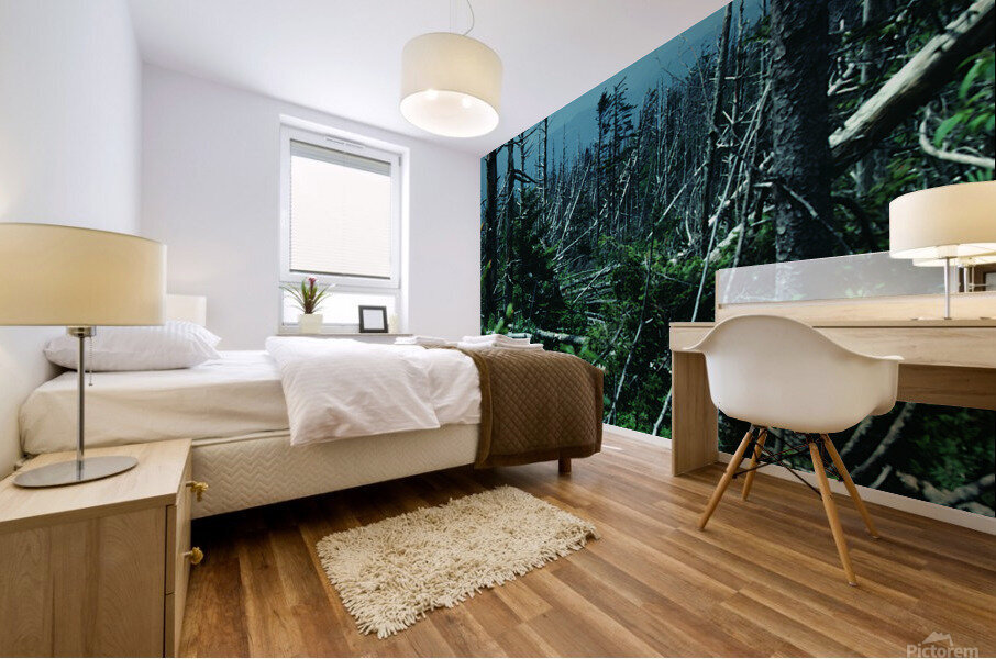 Seral Forest Mural print