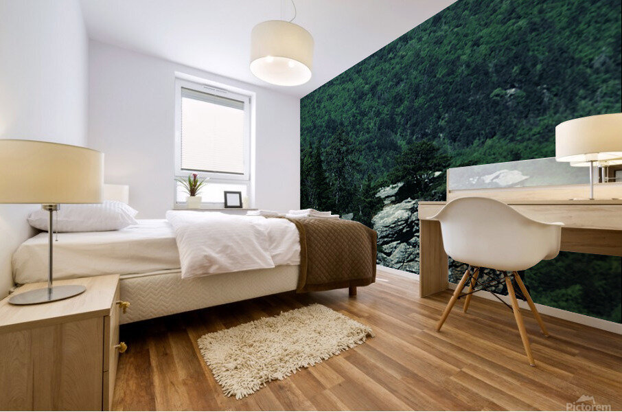 Serene Cliffs Mural print