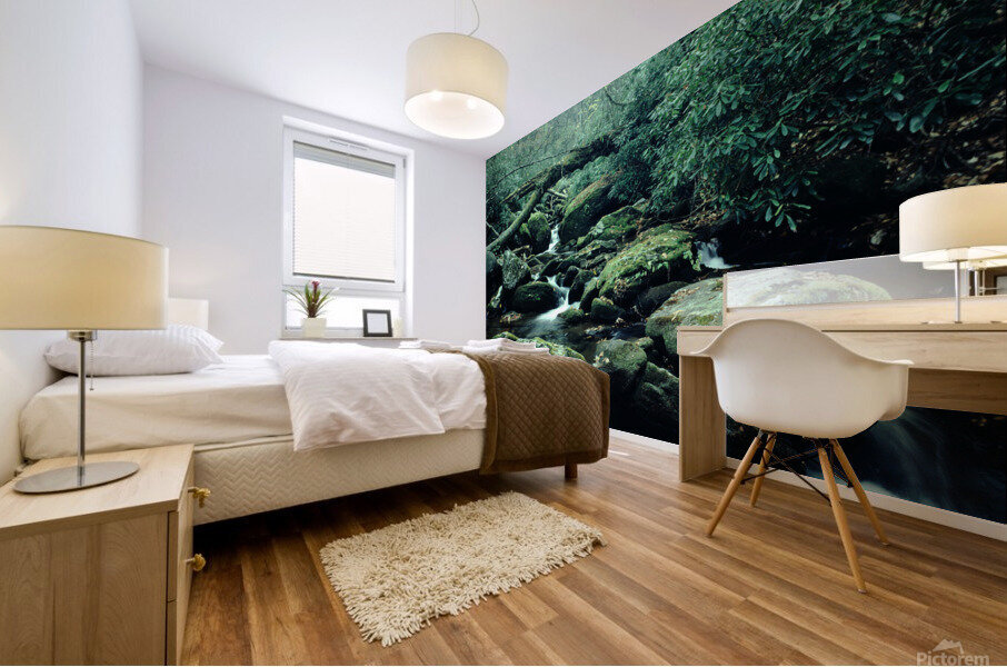 Serene Stream Mural print