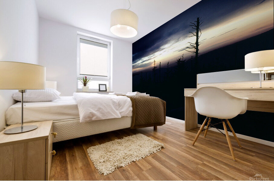 Sunset Silhouette Mural print