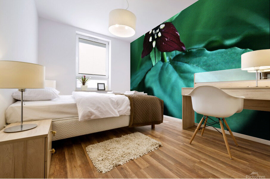Wake Robin Trillium Mural print