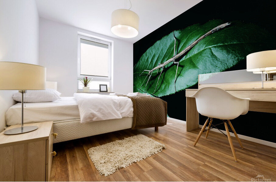Walking Stick Mural print