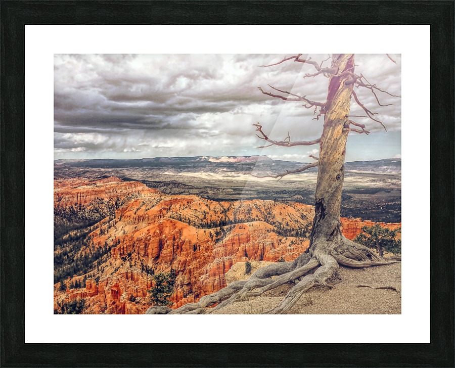Bryce Canyon Picture Frame print