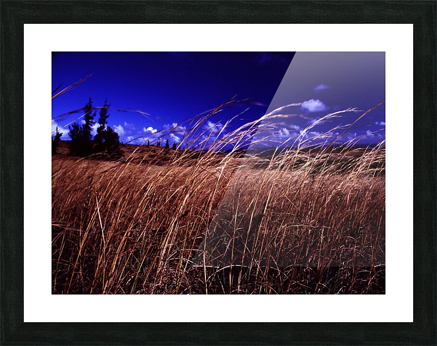 Western Sky Picture Frame print