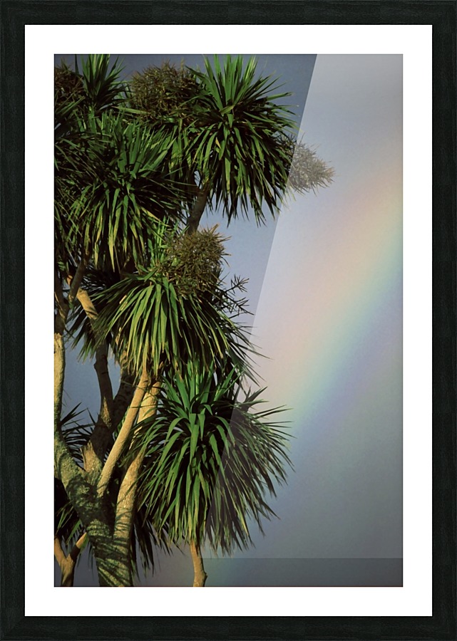 Tropical Rainbow Picture Frame print