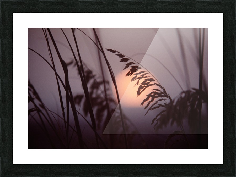 Reed Sunset Picture Frame print