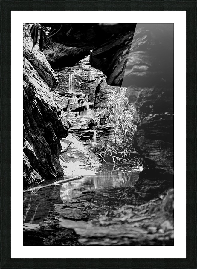 Broken Spring Picture Frame print