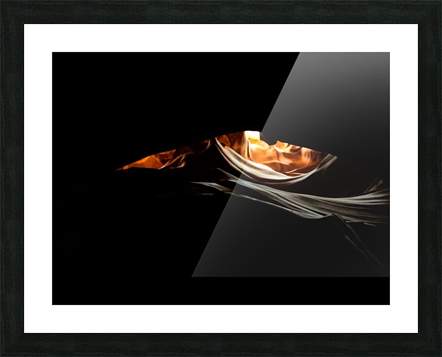 Carrion Skull Picture Frame print