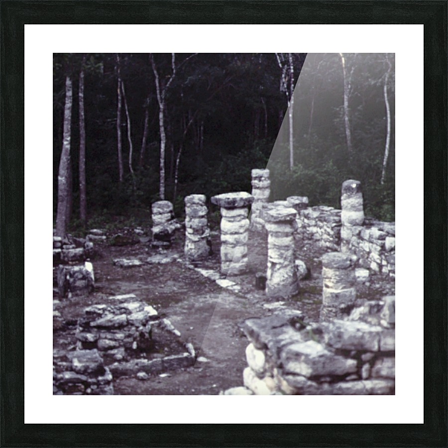 Ancient Forest Picture Frame print
