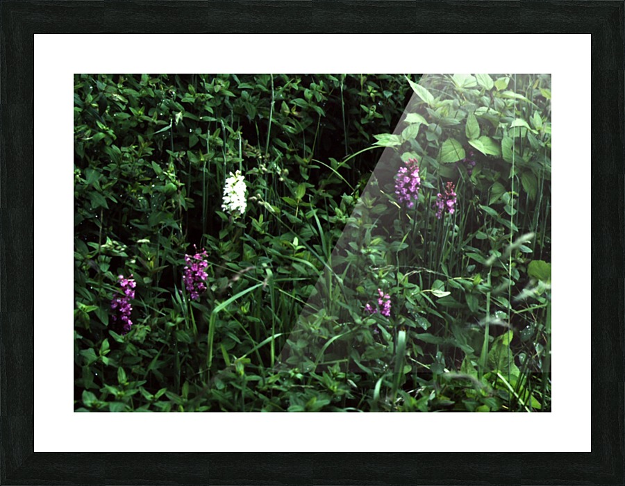 Be Different Picture Frame print