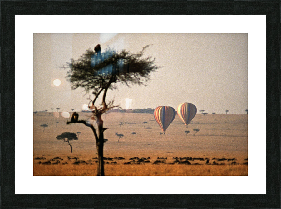 Savanna Balloon Picture Frame print