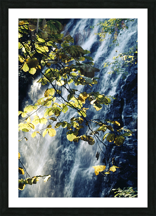 Cascade Under Forest Light Picture Frame print