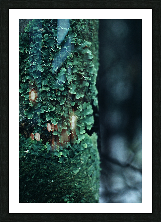 Soft Green Scales Picture Frame print