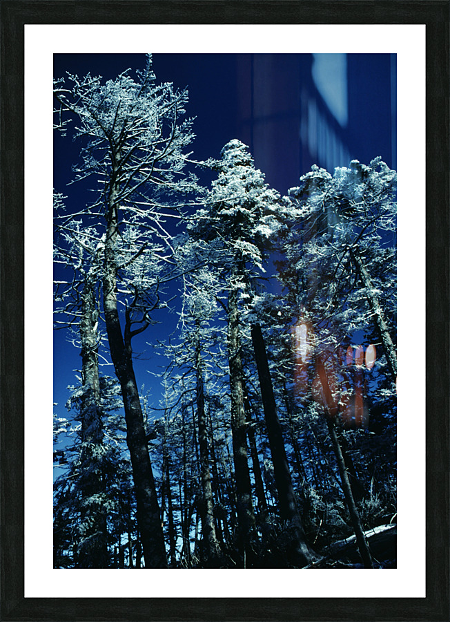 Blue Elysium Picture Frame print