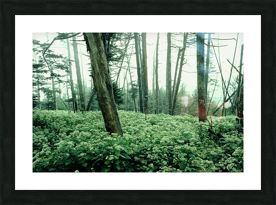 Is This Love Picture Frame print