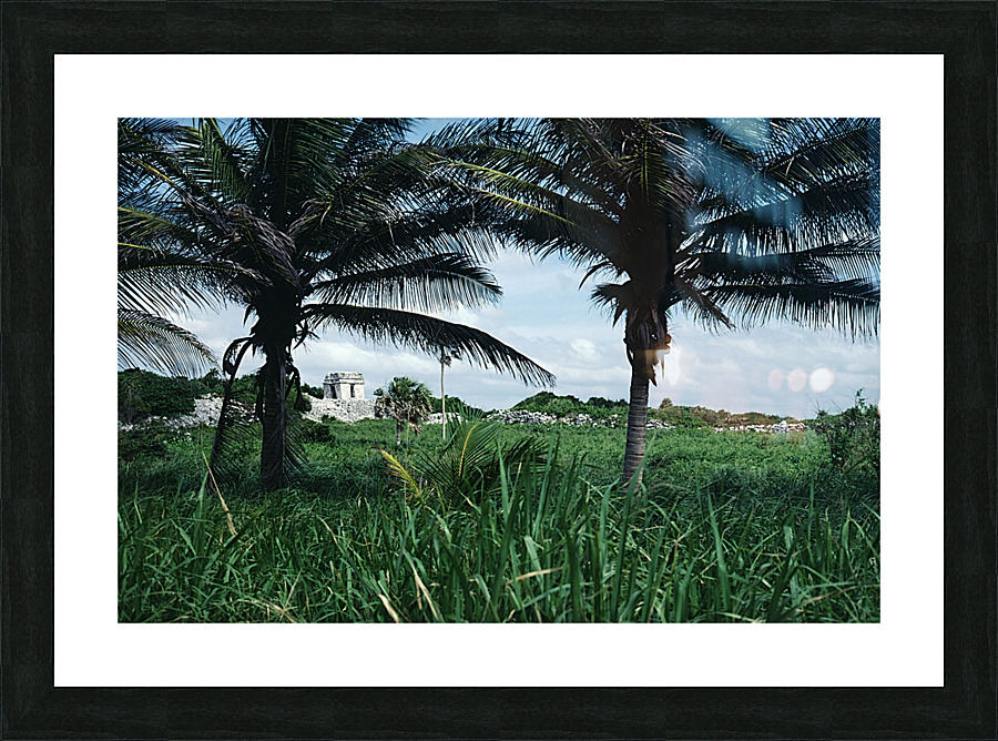Between Two Fronds Picture Frame print