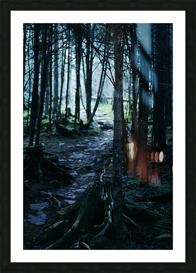 Secluded Path Picture Frame print