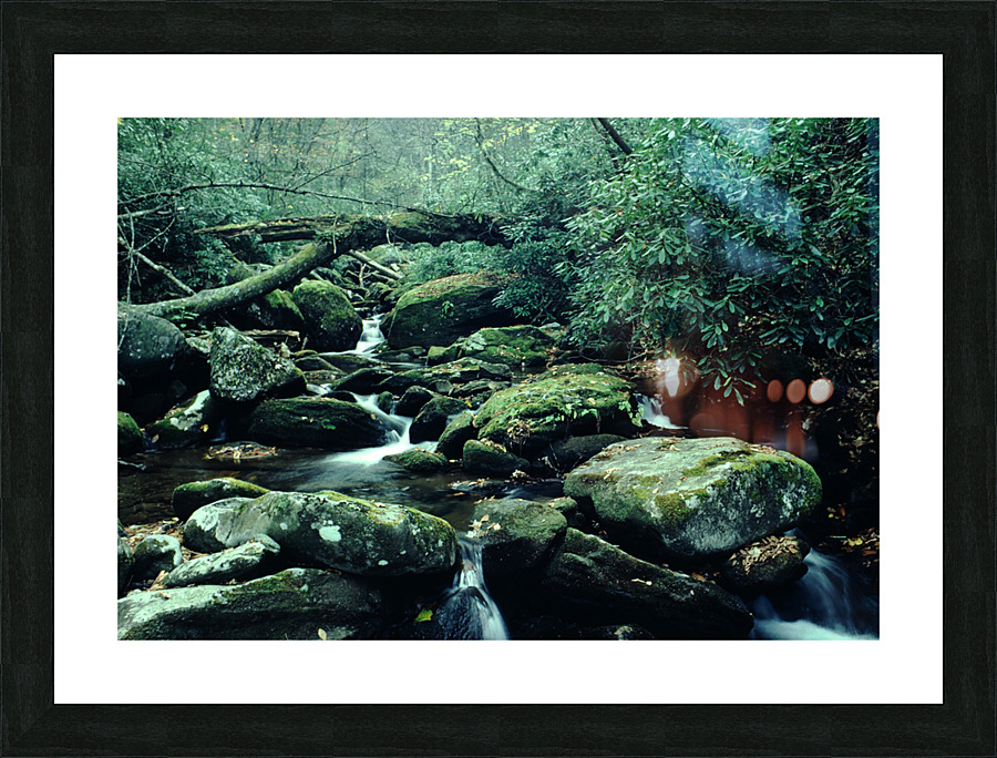 Serene Stream Picture Frame print