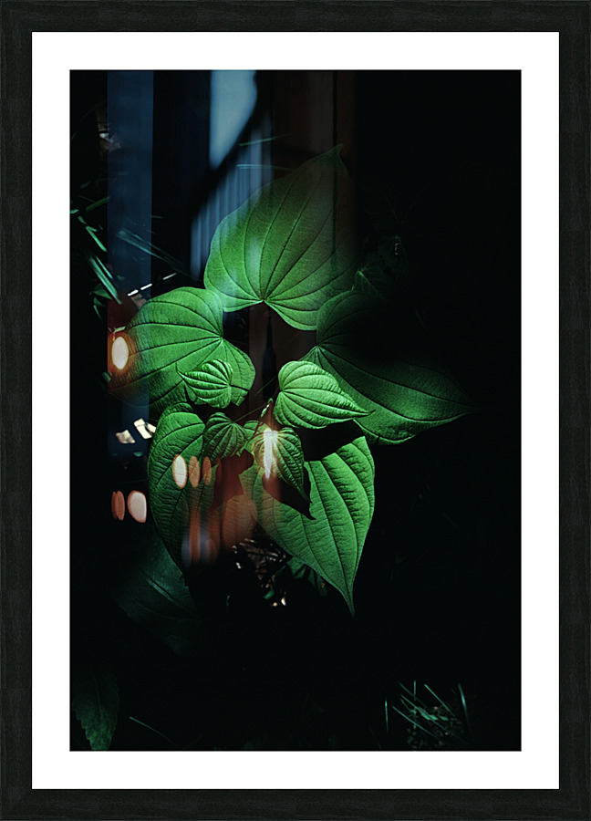 Wild Yam Picture Frame print