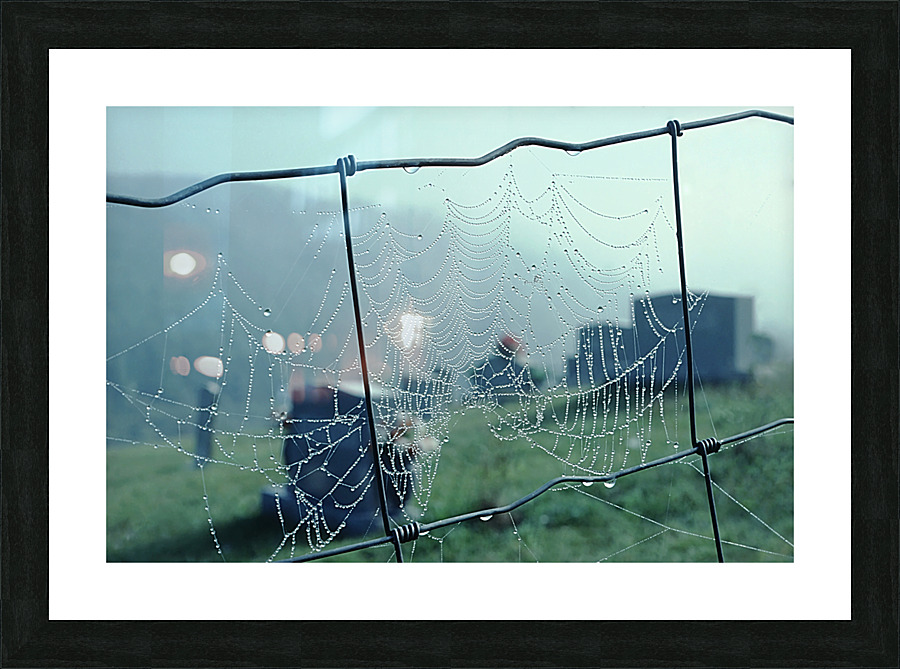 Spider Pearls Picture Frame print