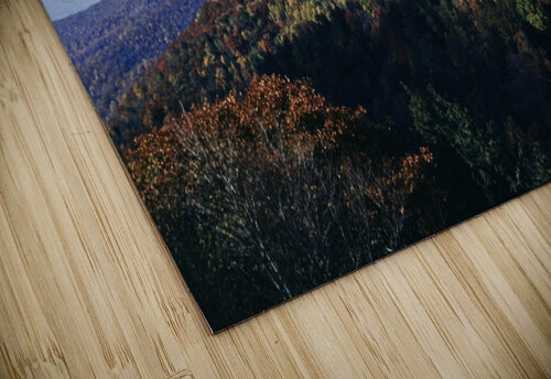Autumn s Canvas Greene Safaris Productions  puzzle