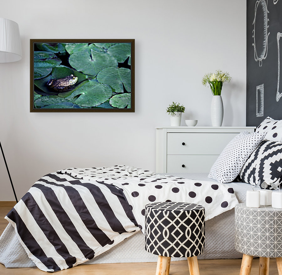 Frog on Lilies Reproduction